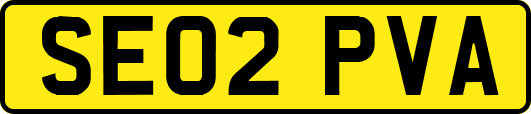 SE02PVA