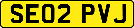 SE02PVJ