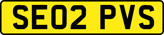 SE02PVS