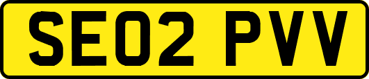 SE02PVV