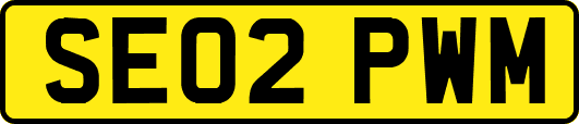 SE02PWM