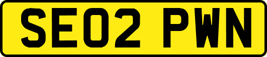 SE02PWN