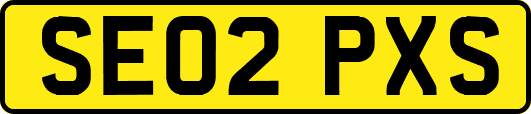 SE02PXS