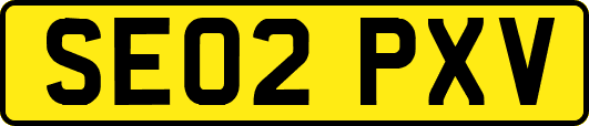 SE02PXV
