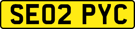 SE02PYC