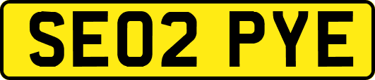 SE02PYE