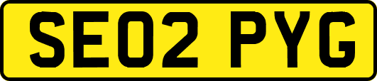 SE02PYG