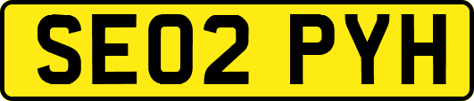 SE02PYH