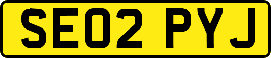 SE02PYJ