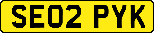 SE02PYK