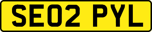 SE02PYL