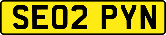 SE02PYN