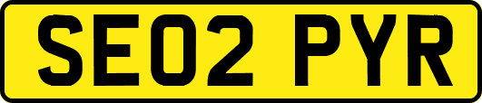 SE02PYR