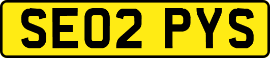 SE02PYS