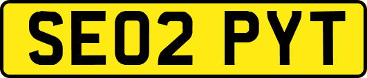 SE02PYT