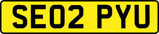 SE02PYU