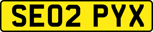SE02PYX