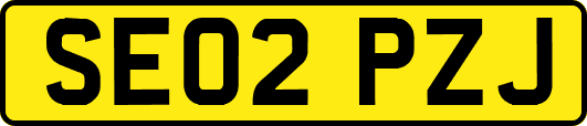 SE02PZJ