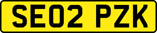 SE02PZK