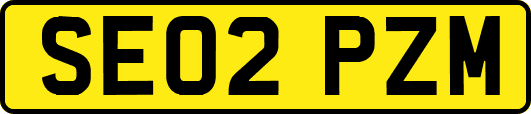 SE02PZM