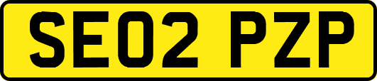SE02PZP