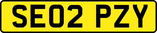 SE02PZY