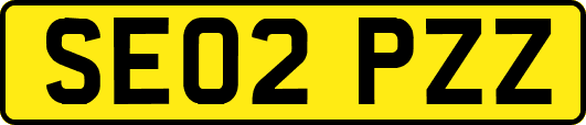 SE02PZZ
