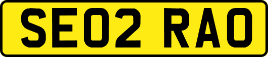 SE02RAO