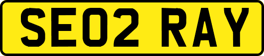 SE02RAY