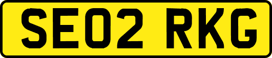 SE02RKG