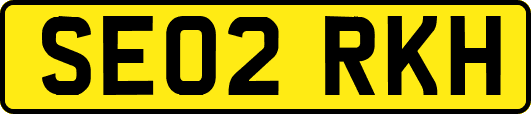 SE02RKH