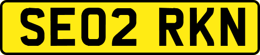 SE02RKN