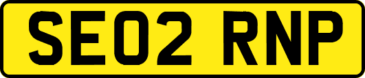 SE02RNP
