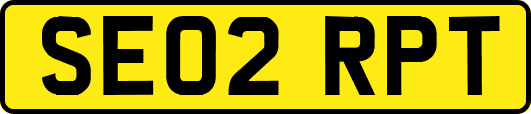 SE02RPT