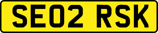 SE02RSK
