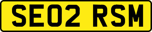 SE02RSM