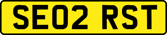 SE02RST