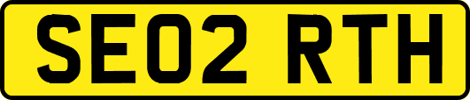 SE02RTH