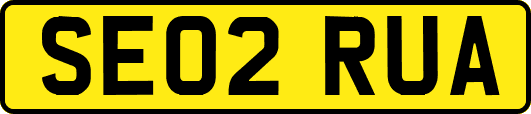SE02RUA