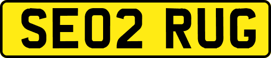 SE02RUG