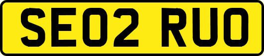 SE02RUO