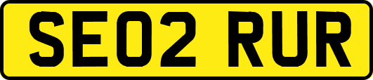 SE02RUR