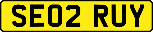 SE02RUY