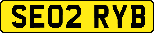SE02RYB