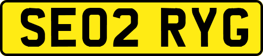 SE02RYG