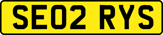 SE02RYS