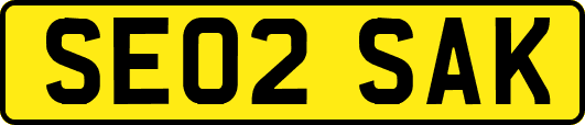 SE02SAK