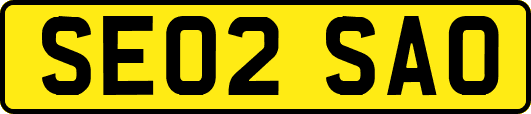 SE02SAO