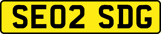 SE02SDG