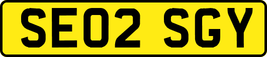 SE02SGY